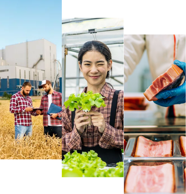 ธุรกิจอาหารและค้าปลีก