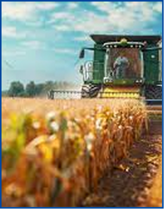 พัฒนาแพลตฟอร์มเกษตรกรรมเพื่อเพิ่มประสิทธิภาพและความยั่งยืน 