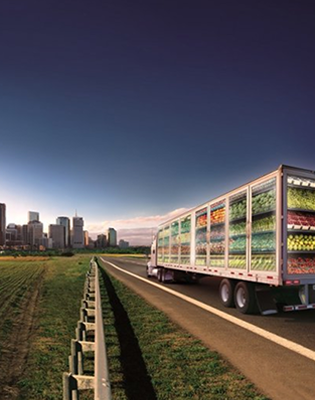 Customs clearance & Delivery