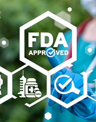 Government  License